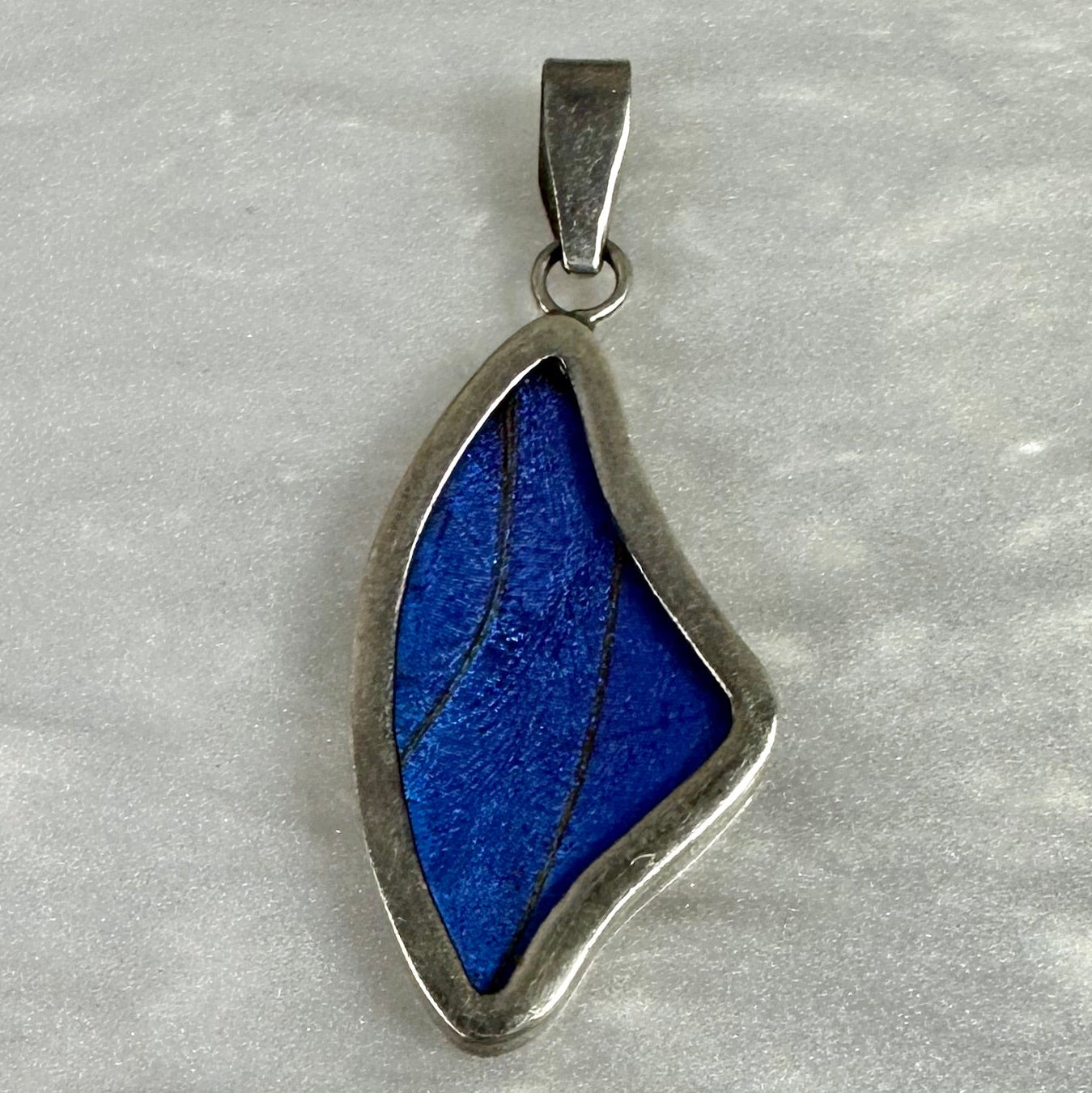 Blue Morfo Butterfly Wing Pendant in Sterling silver