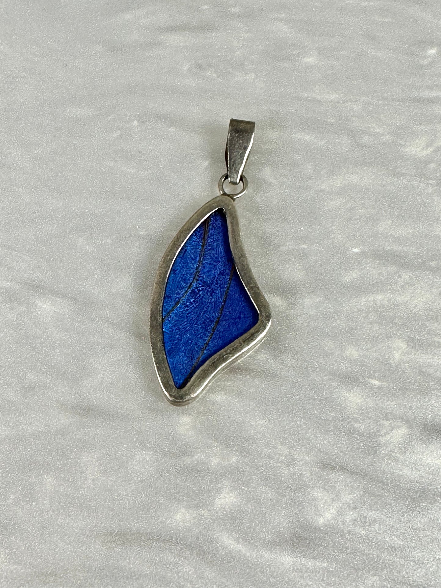 Blue Morfo Butterfly Wing Pendant in Sterling silver