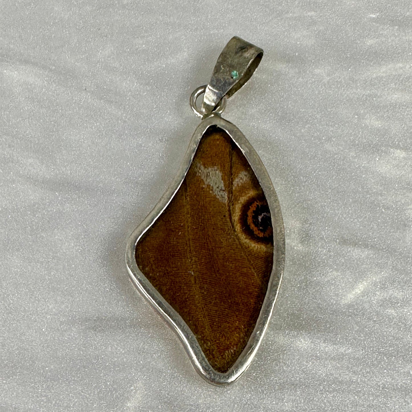 Blue Morfo Butterfly Wing Pendant in Sterling silver