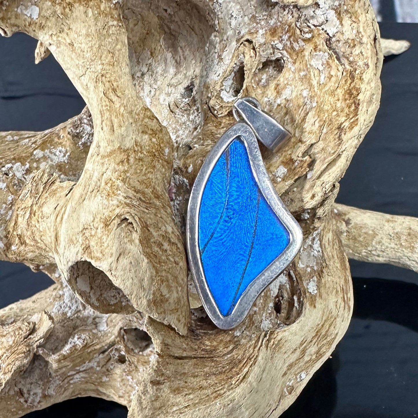 Blue Morfo Butterfly Wing Pendant in Sterling silver