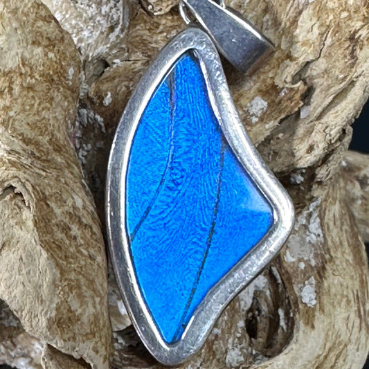 Blue Morfo Butterfly Wing Pendant in Sterling silver