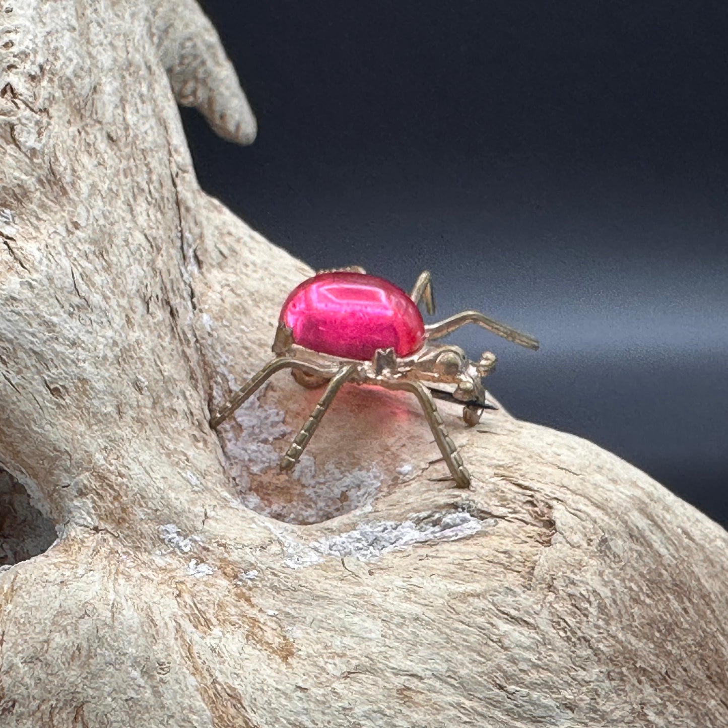 Vintage 1940’s Jelly Belly Spider Brooch