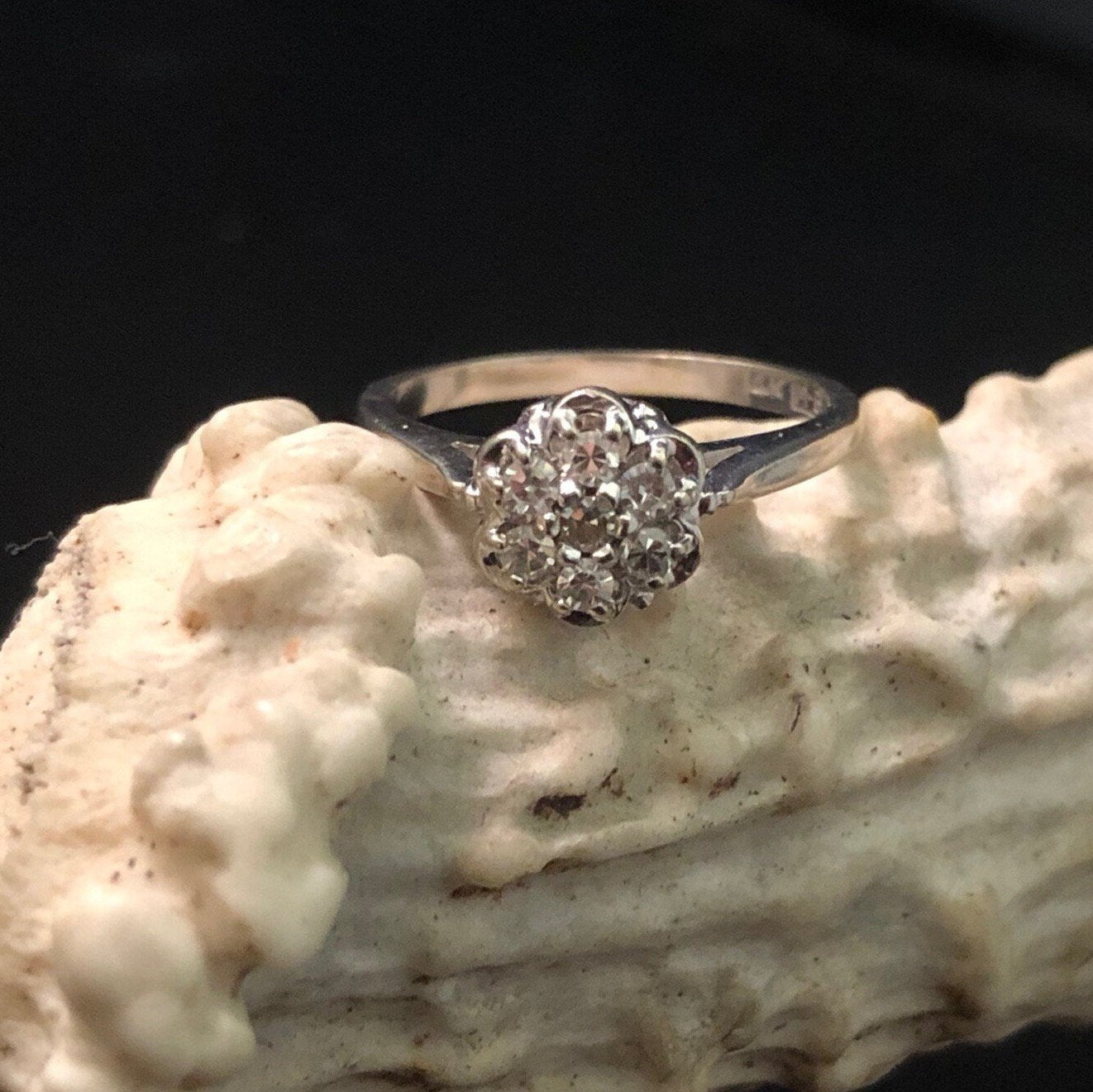 14K White Gold Cluster Diamond ring