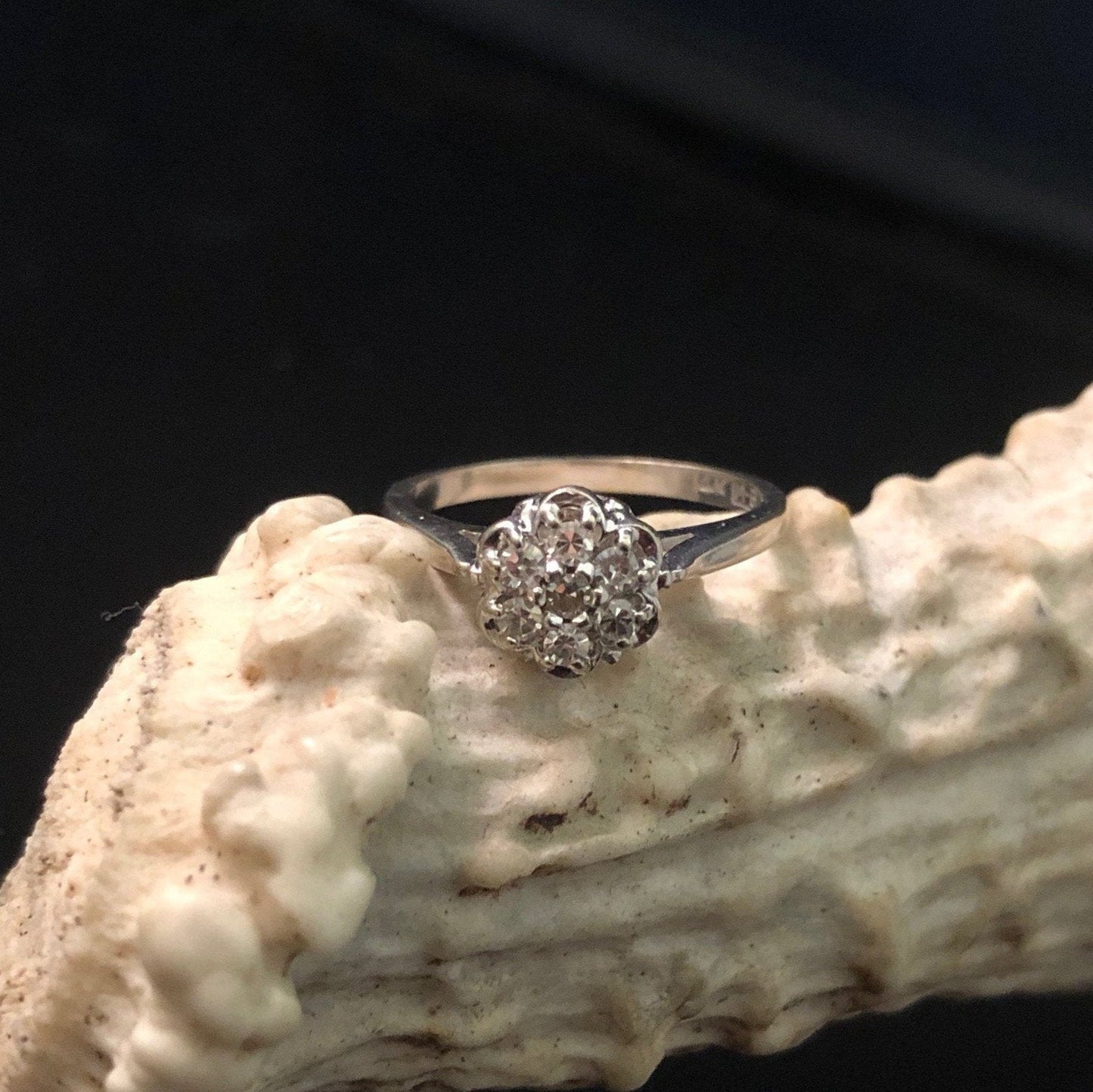 14K White Gold Cluster Diamond ring