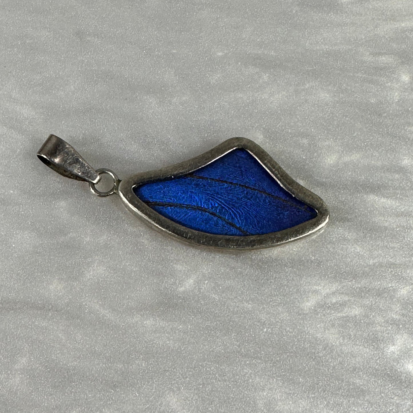 Blue Morfo Butterfly Wing Pendant in Sterling silver